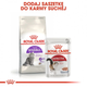 Сухой корм для котів Royal Canin Sensible 400 г (3182550702263) (2521004) - зображення 8