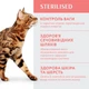 Сухий корм для стерилізованих котів Optimeal Adult Cat Sterilised Beef Sorghum 650 г (яловичина та сорго) - зображення 3