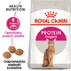 Sucha karma dla kotów Royal Canin Exigent Protein 400 g (3182550767149) (2542004) - obraz 2