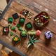 Конструктор LEGO Icons Сукуленти 771 деталь (10309) - зображення 5
