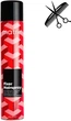 Профессиональный спрей Matrix Styling Fixer Hairspray для контроля и фиксации прически 400 мл (3474637103620) - изображение 1