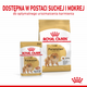 Sucha karma dla dorosłych psów Royal Canin Pomeranian Adult 1,5 kg (3182550908443) (1255015) - obraz 7