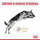 Сухий корм для дорослих собак Royal Canin German Shepherd 5+ 12 кг (3182550908399) (1340120) - зображення 3