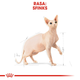 Sucha karma dla dorosłych kotów Royal Canin Sphynx Adult 2 kg (3182550758840) (2556020) - obraz 3