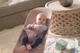 Кресло-качалка BabyBjorn Bliss Mesh Dusty Pink, 7317680061089 - зображення 5