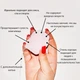 Женские гигиенические тампоны - NEVERNOT Soft-Tampon с дополнительной съёмной нитью, 1 шт. - изображение 7