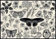 Пазлы INTERDRUK трехслойные Flowers 3 (500 шт.) (326041) - изображение 3