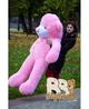Мишка плюшевый BigBears 180 см. Розовый - изображение 6