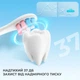 Электрическая зубная щетка Oclean Kids Electric Toothbrush Blue - изображение 3