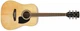 Акустическая гитара Ibanez PF15 NT - изображение 2
