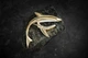 Каподастр ELIMA SHARK GC-02 GOLD - изображение 6