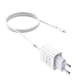 Адаптер мережевий Hoco Lightning cable Asombroso C81A |1USB, 2.1A| Білий - зображення 4