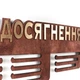 Медальница с фанеры "Мои достижения" Вишня - изображение 3
