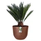 Вазон Elho fuente grains 30х24см коричневий 480226 - зображення 5