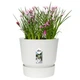 Горшок Elho greenville round 40cm белый 332273 - изображение 5