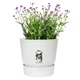 Горшок Elho greenville round 14cm белый 492854 - изображение 5