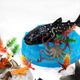 Игровой набор Battat Lite Fun Banka Жители морей 57 предметов - изображение 5