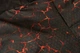 Шорти для єдиноборств Immortal Fightshorts Lava XS (401001-149-XS) - зображення 6