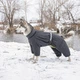Комбинезон для животных Pet Fashion "COLD" XS (серый) (4823082426249) - изображение 5
