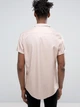 Рубашка ASOS 5947633 2XL (1011272XL) Розовый - изображение 2