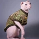 Кофта з рукавом для кота камуфляж Style Pets Military Multikam green M+ - зображення 1