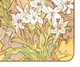 Постер CP The Flowers: Lily 1898, Альфонсо Муха 52х120 см (268) - зображення 5