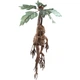 Іграшка плюшева The Noble Collection HARRY POTTER Mandrake Collector Plush electronic (Гаррі Поттер) NN7506 - зображення 3