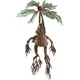 Іграшка плюшева The Noble Collection HARRY POTTER Mandrake Collector Plush electronic (Гаррі Поттер) NN7506 - зображення 5