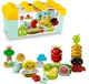 Zestaw klocków LEGO DUPLO My First Ogród uprawowy 43 elementy (10984) - obraz 6