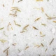 Розслаблююча Суміш для ванни Welcome To The Sun – Rosemary-Geranium натуральна Spa&Wellness Organique - 200 г 208161_1 - изображение 5