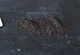 Норічник насіння (0,1 г близько 1000 шт) (Scrophularia nodosa) - зображення 4