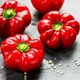 семена Перец Бихар F1 10сем Lark Seeds - изображение 2