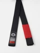 Пояс для БЖЖ Immortal BJJ Gi Belt Black A1 Цвет Черный (501252-100-A1) - изображение 2