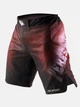 Шорти для єдиноборств Legend Fightshorts Sunset XS Колір Чорний (401011-318-XS) - зображення 1