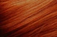 Крем-фарба для волосся jNOWA Professional Siena Chromatic Save 6/34 темний тіціан 90 мл (12223.057) - зображення 4
