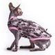 Кофта з рукавом для кота/кішки Style Pets Long (pn139) XL - зображення 2