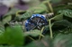 CASIO EDIFICE EFV-540D-1A2VUEF - изображение 3