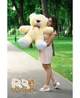 Ведмедик плюшевий сидячий BigBears 100 см. Персиковий КІ-158-0123 - зображення 5