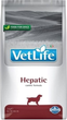 Sucha karma dla psa Farmina Vet Life Hepatic 12 kg (8010276032041) - obraz 1