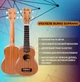 Укулеле BURKS SOPRANO NATURAL 21" - изображение 2