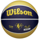 Баскетбольный мяч Wilson NBA Team Pacers (размер 7) WZ4003912XB7 - изображение 1