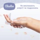 Дитячі вологі серветки Chicolino New 120 шт (4823098411772) - зображення 2