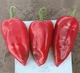 Семена Перец сладкий Козий рог, 0,25 г (GL Seeds) - изображение 2