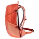 Рюкзак Deuter Futura 21 л 3400021 5572 - зображення 5