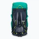 Рюкзак Deuter Climber 22 л fern-ink 3611021 2345 - зображення 5