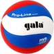 М'яч волейбольний Gala Pro-Line BV5591S - зображення 2