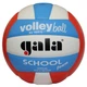 М'яч волейбольний Gala School Foam Colour BV5511S - зображення 1