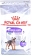 Sucha karma dla psów Royal Canin CCN Mini Sterilised 3 kg (3182550894128) - obraz 1