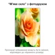 Покриття для столу, м'яке скло з фотодруком, Троянда 60 х 100 см (1 мм) МСПБ-fl10627 - зображення 2