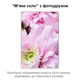 Покриття для столу, м'яке скло з фотодруком, Рожева квітка 60 х 100 см (1 мм) МСПБ-fl10601 - зображення 2